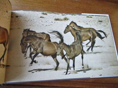 SPIRIT OF THE WIND. A photographic celebration of the wild horses of the Namib Desert