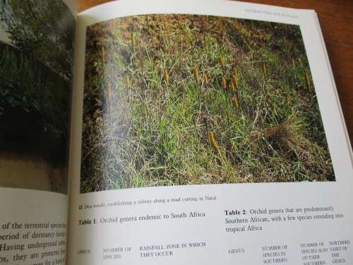 WILD ORCHIDS OF Southern Africa  Joyce Steward, H.P Linder, E.A. Schelpe, A.V. Hall
