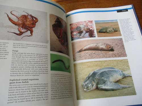 Namibia`s MARINE ENVIRONMENT  Molloy and Reinikainen