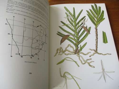 SOUTHERN AFRICAN EPIPHYTIC ORCHIDS  JOHN S. BALL