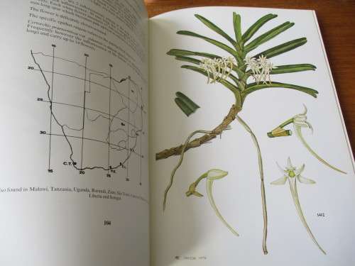 SOUTHERN AFRICAN EPIPHYTIC ORCHIDS  JOHN S. BALL