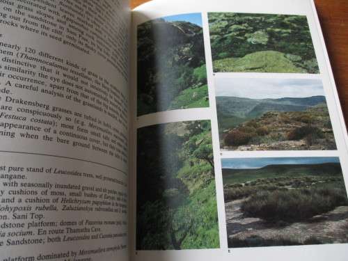 The Botany of the Southern Natal Drakensberg  Hillard and Burtt