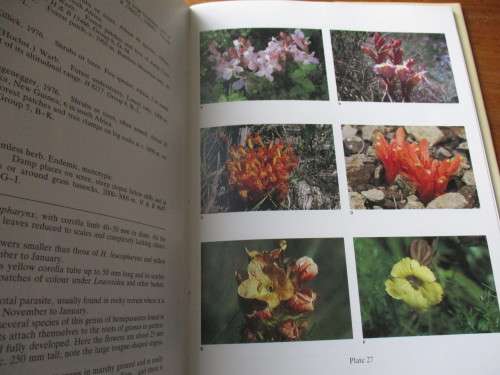 The Botany of the Southern Natal Drakensberg  Hillard and Burtt