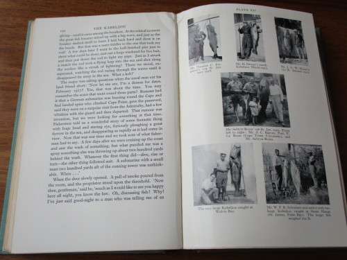 SEA-ANGLING FISHES OF THE CAPE ( SOUTH AFRICA )  By C. LEO BIDEN