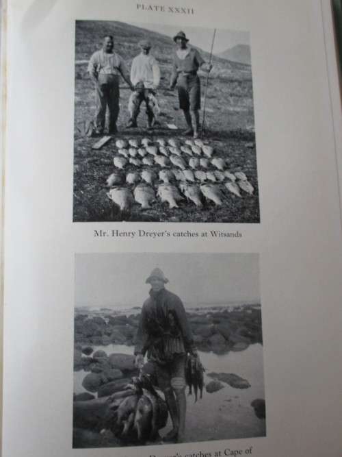 SEA-ANGLING FISHES OF THE CAPE ( SOUTH AFRICA )  By C. LEO BIDEN