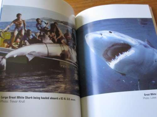 Of Sharks and Men. SIGNED Desmond Prout-Jones