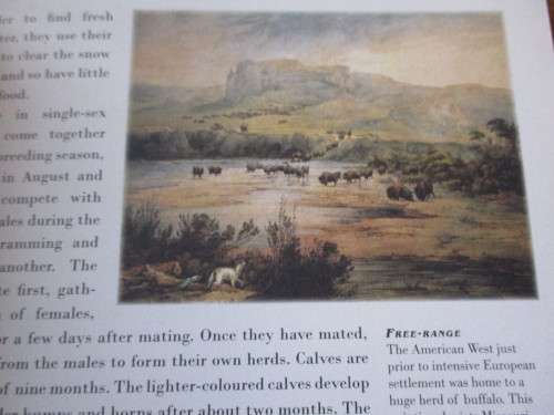 Fifty Animals that Changed the Course of History  Eric Chaline