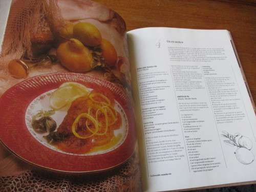 Die Suid-Afrikaanse Indier-Kookboek Ramola Makan