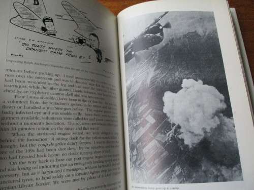 WARRIORS OF THE SKY. Springbok Air Heroes in Combat