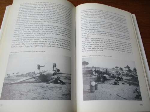 WARRIORS OF THE SKY. Springbok Air Heroes in Combat