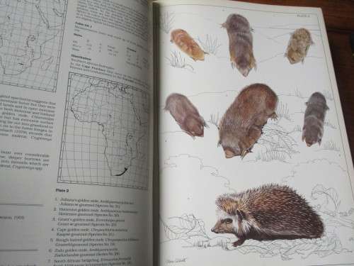 The Mammals of the Southern African Subregion. SIGNED COPY. Reay HN Smithers