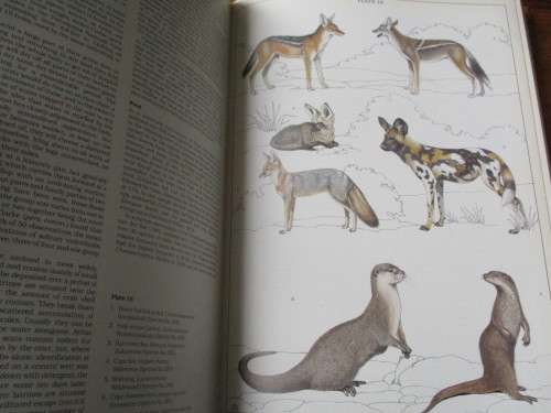 The Mammals of the Southern African Subregion. SIGNED COPY. Reay HN Smithers