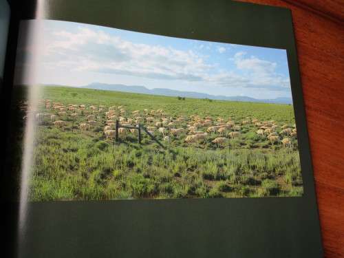 KAROO - PASTORAAL. Fotografiese Essay TOM BURGERS