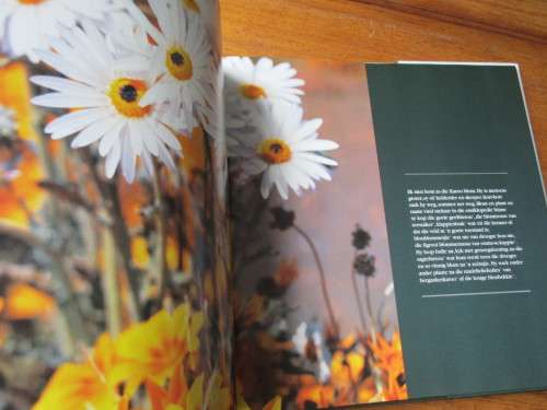 KAROO - PASTORAAL. Fotografiese Essay TOM BURGERS