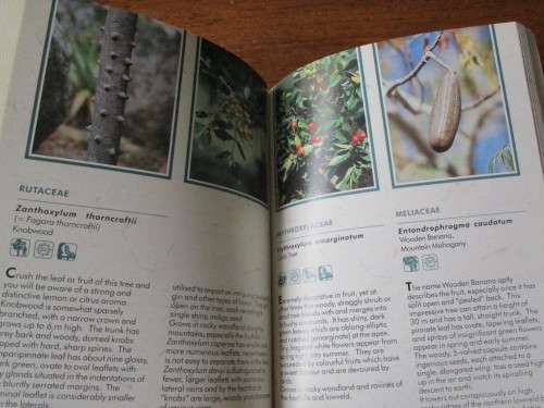 Sappi WILD FLOWER GUIDE  - MPUMALANGA & NORTHERN PROVINCE