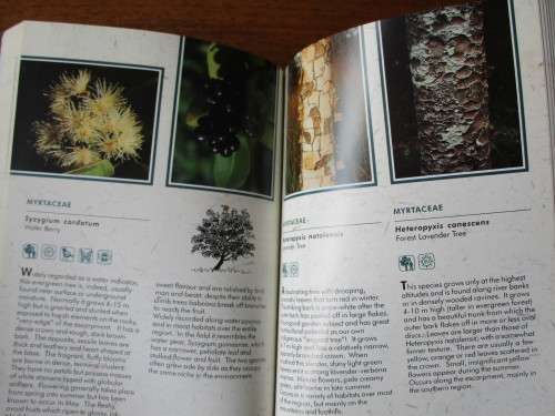 Sappi WILD FLOWER GUIDE  - MPUMALANGA & NORTHERN PROVINCE