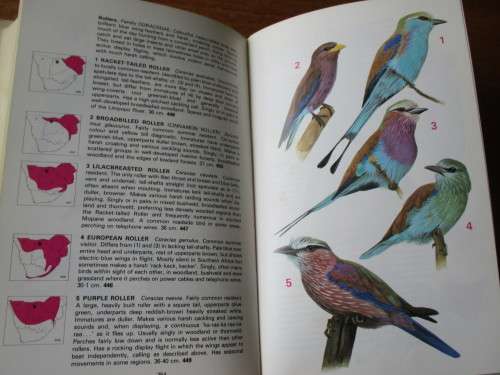 First Edition Signed Copy - NEWMAN`S BIRDS OF SOUTHERN AFRICA