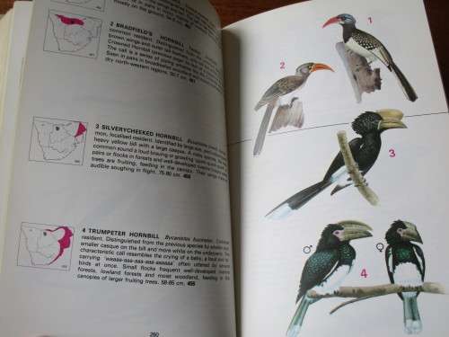 First Edition Signed Copy - NEWMAN`S BIRDS OF SOUTHERN AFRICA