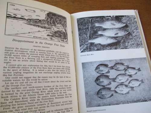 ANGLING IN SOUTHERN AFRICA  ALLAN B.W.IMPEY
