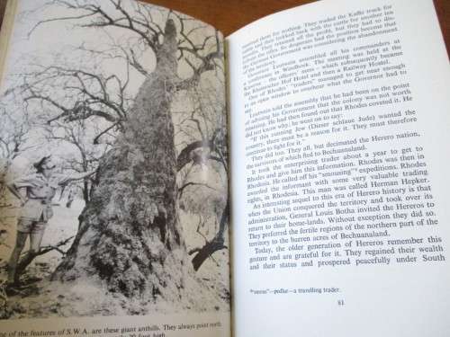 Fragments of a desert  Con Weinberg