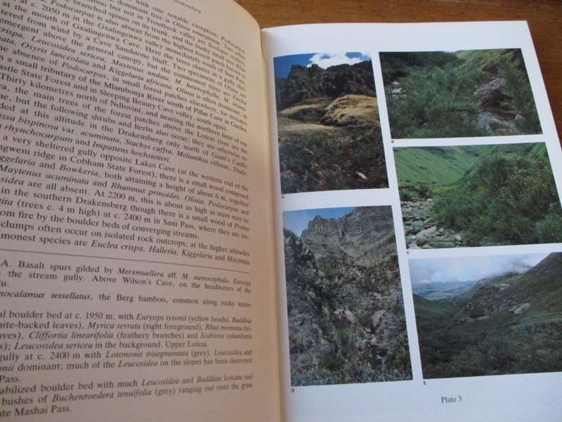 The Botany of the Southern Natal Drakensberg  Hillard and Burtt