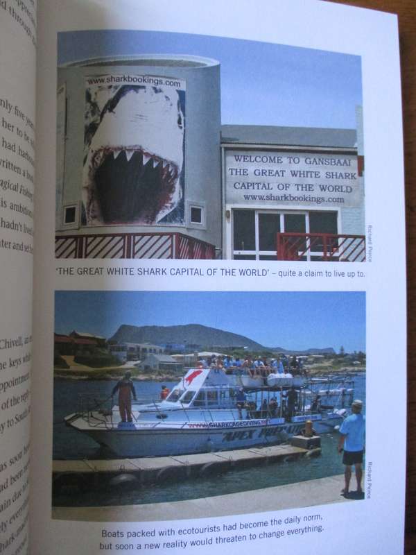 ORCA The day the Great White sharks disappeared Richard Peirce
