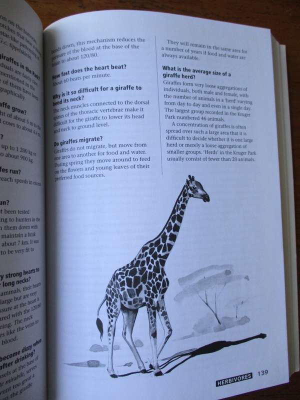 KRUGER NATIONAL PARK  Questions & Answers PF Fourie  Updated by C van der Linde