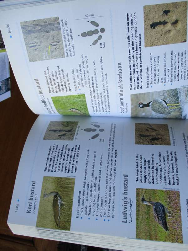 TRACKER MANUAL A pracyical guide to tracking in Southern Africa A van den Heever R Mhlongo K Benadie