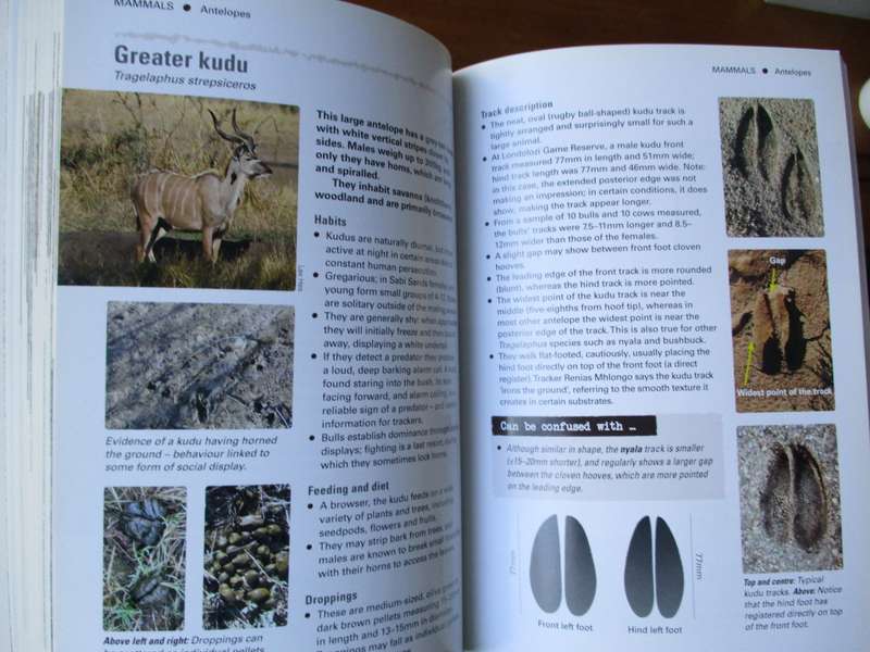 TRACKER MANUAL A pracyical guide to tracking in Southern Africa A van den Heever R Mhlongo K Benadie