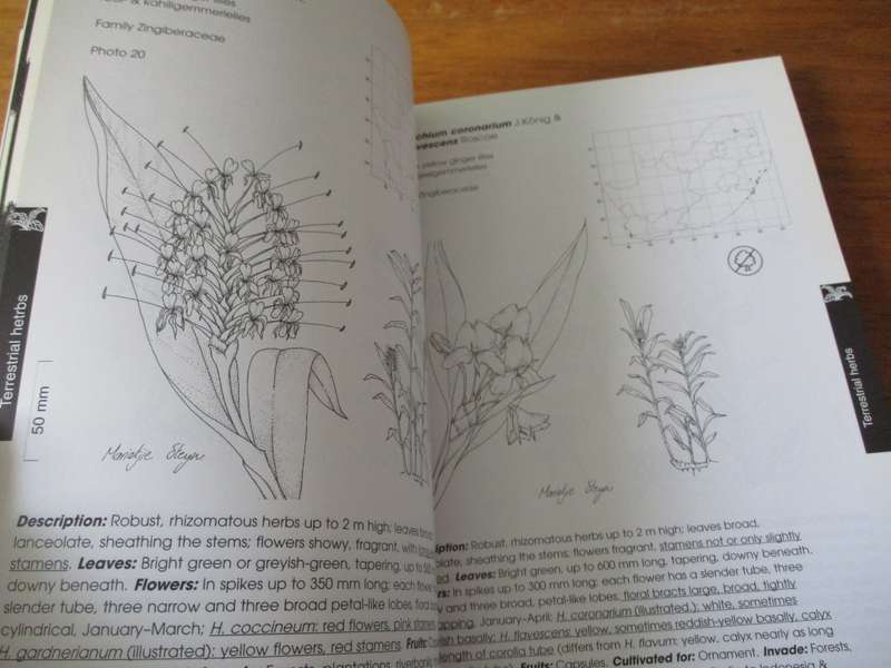ALIEN WEEDS AND INVASIVE PLANTS IN SOUTH AFRICA Lesley Henderson