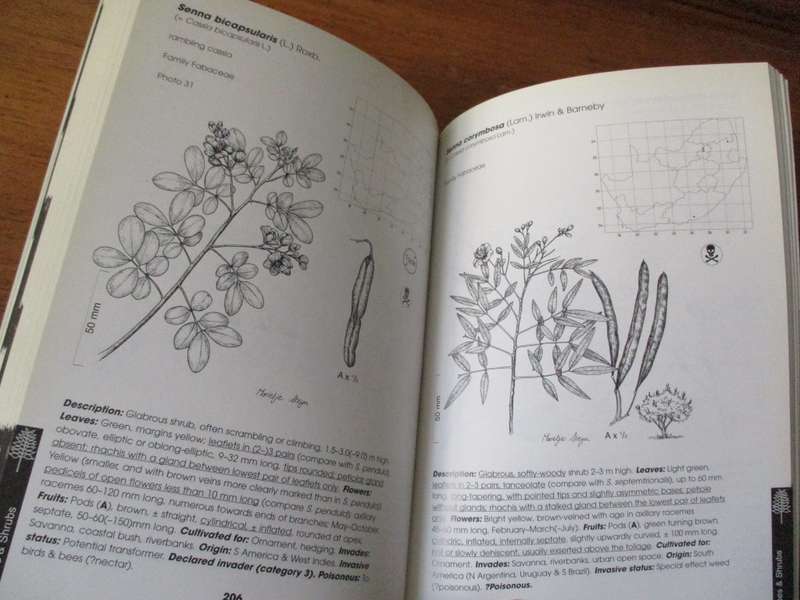 ALIEN WEEDS AND INVASIVE PLANTS IN SOUTH AFRICA Lesley Henderson