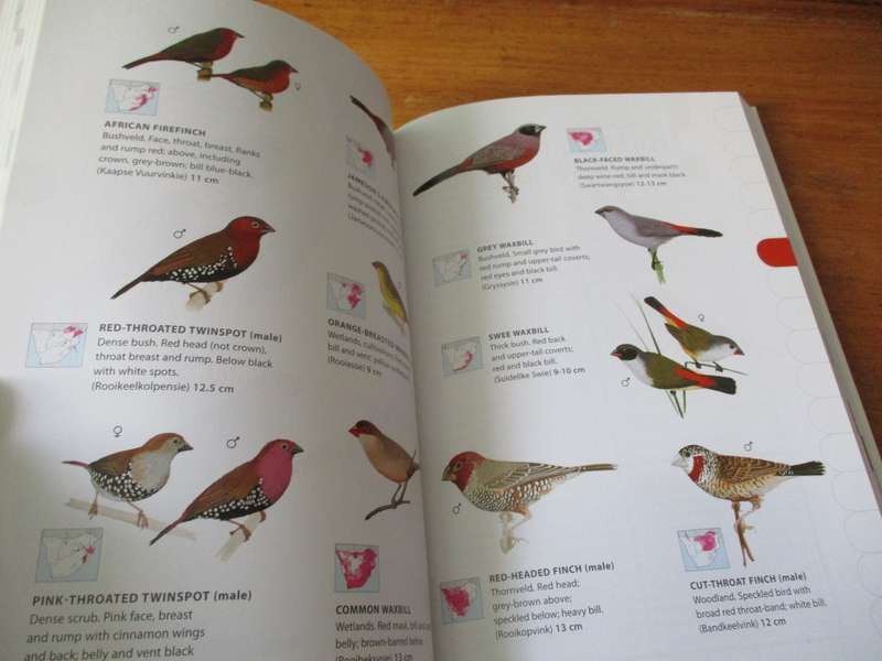 NEWMAN`S BIRDS BY COLOUR  Kenneth Newman