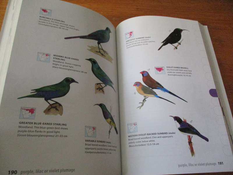 NEWMAN`S BIRDS BY COLOUR  Kenneth Newman