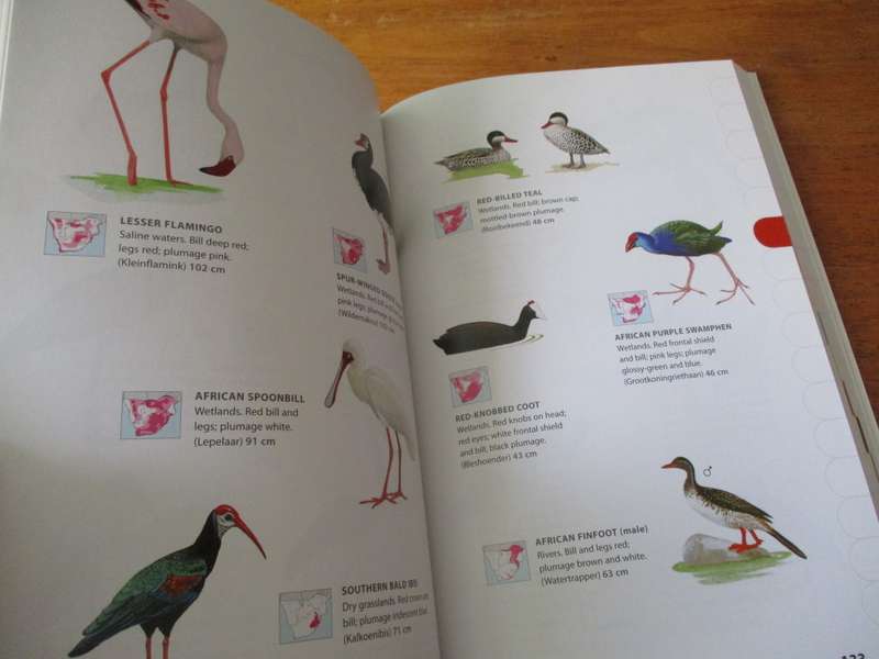 NEWMAN`S BIRDS BY COLOUR  Kenneth Newman