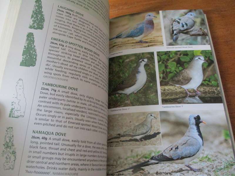 Guide to BIRDS of the Kruger National Park  Warwick Tarboton & Peter Ryan