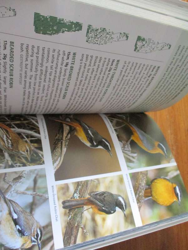 Guide to BIRDS of the Kruger National Park  Warwick Tarboton & Peter Ryan