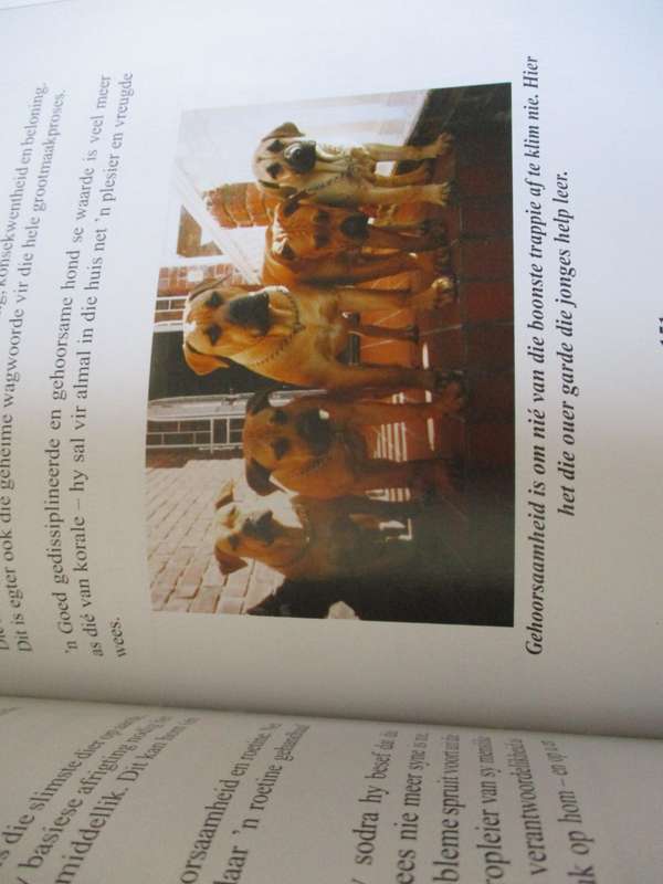 Die BOERBOEL eie aan Suid-Afrika  Anemari Pretorius