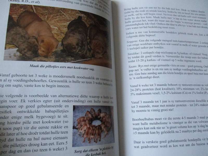 Die BOERBOEL eie aan Suid-Afrika  Anemari Pretorius
