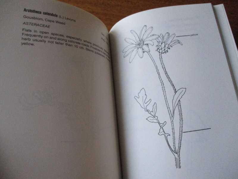 Flowering Plants of the Cape Flats Nature Reserve A.B. Low  L.B. Scott
