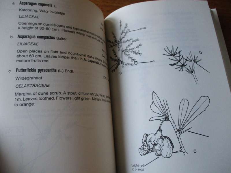 Flowering Plants of the Cape Flats Nature Reserve A.B. Low  L.B. Scott