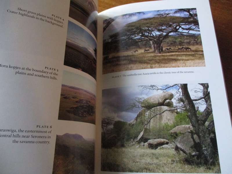 Serengeti Story life and science in the world`s greatest wildlife region  A.R.E. Sinclair