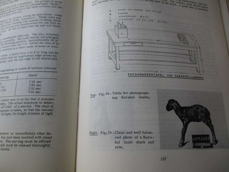 The Small Stock Industry in South Africa  Department of Agricultural Technical Services