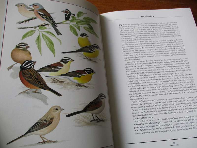Birds of  Southern Africa  The Sasol plates collection P Hayman N Arlott  W Tarboton