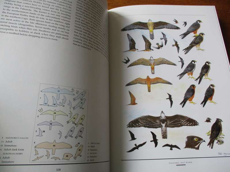 Birds of  Southern Africa  The Sasol plates collection P Hayman N Arlott  W Tarboton