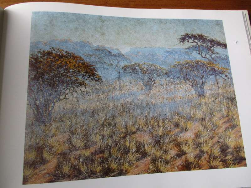 Kuns in Suidwe-Afrika Art in Sout-West Africa Kunst in Sudwestafrika  Nico Roos