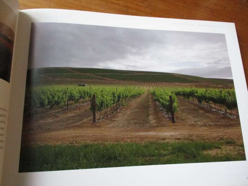 RENOSTERVELD a wilderness exposed Ruth Parker & Brita Lomba