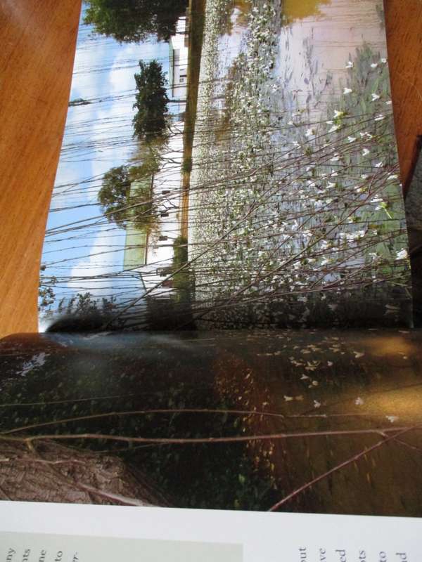 RENOSTERVELD a wilderness exposed Ruth Parker & Brita Lomba