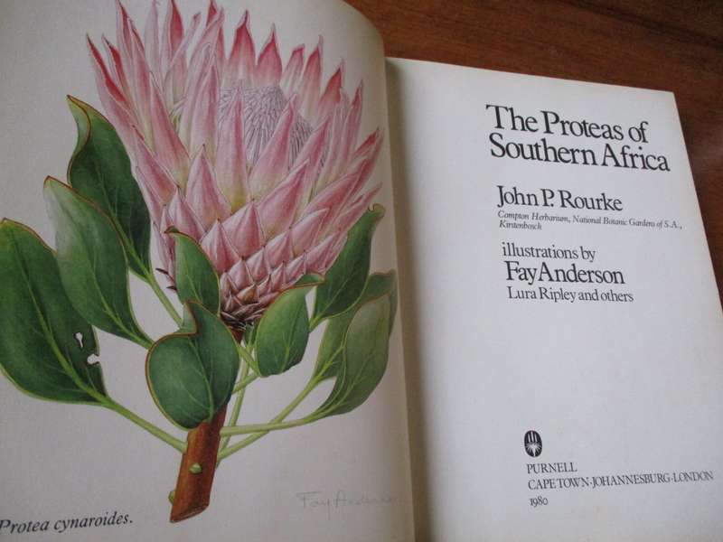 The Proteas of Southern Africa  John P. Rourke Fay Anderson
