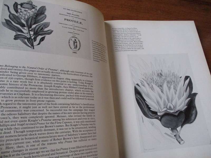 The Proteas of Southern Africa  John P. Rourke Fay Anderson