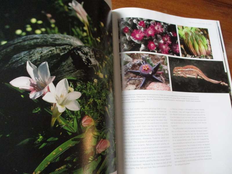 East of the Cape Conserving Eden  Richard Cowling & Shirley Pierce